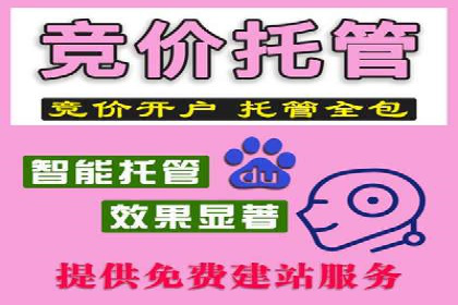 信息流广告代理案例对比分析